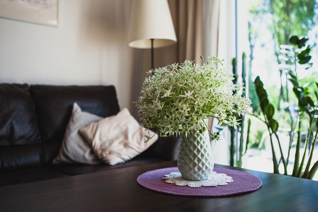 Saka Vacation House دروسكينينكاي المظهر الخارجي الصورة
