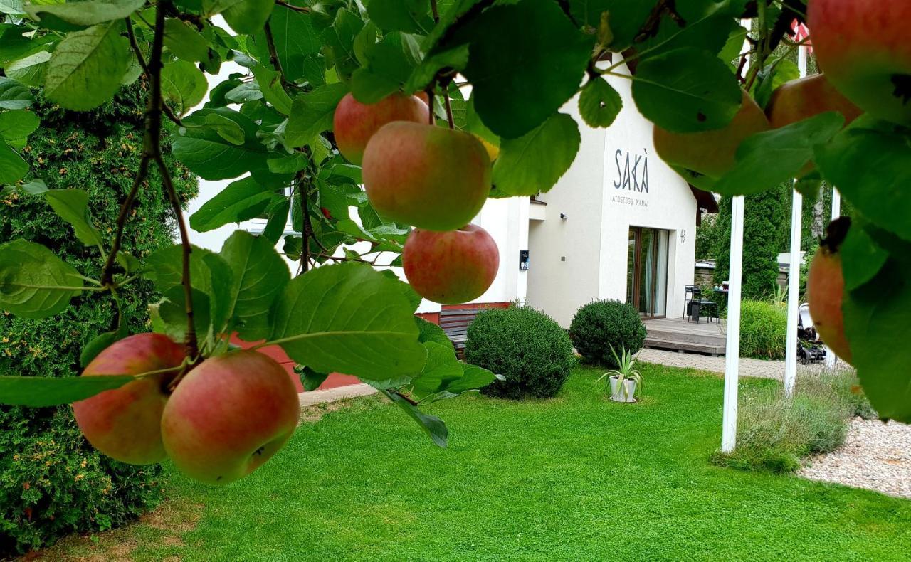 Saka Vacation House دروسكينينكاي المظهر الخارجي الصورة